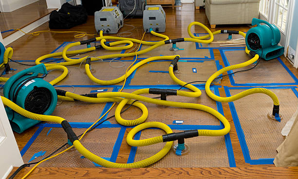 Professional Burst Pipe Water Damage technician working in Sellersburg, IN